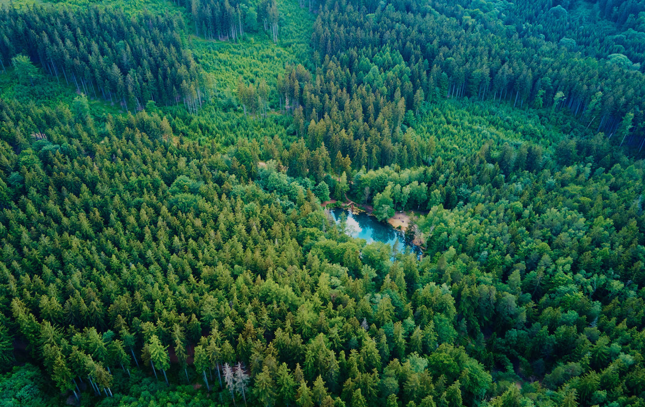 浙江一泉包有限公司。有限公司